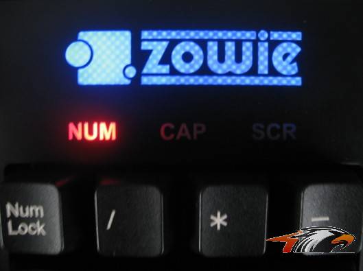 ������ZOWIE CELERITASʹ�ø���