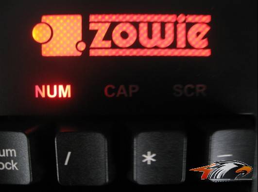 ������ZOWIE CELERITASʹ�ø���