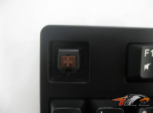 ������ZOWIE CELERITASʹ�ø���