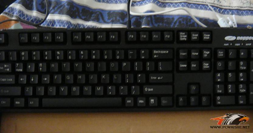 8KPS[]__RLN16[6DJNXEYKI.jpg
