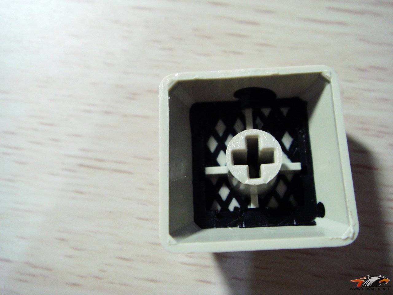 DSC00879.jpg