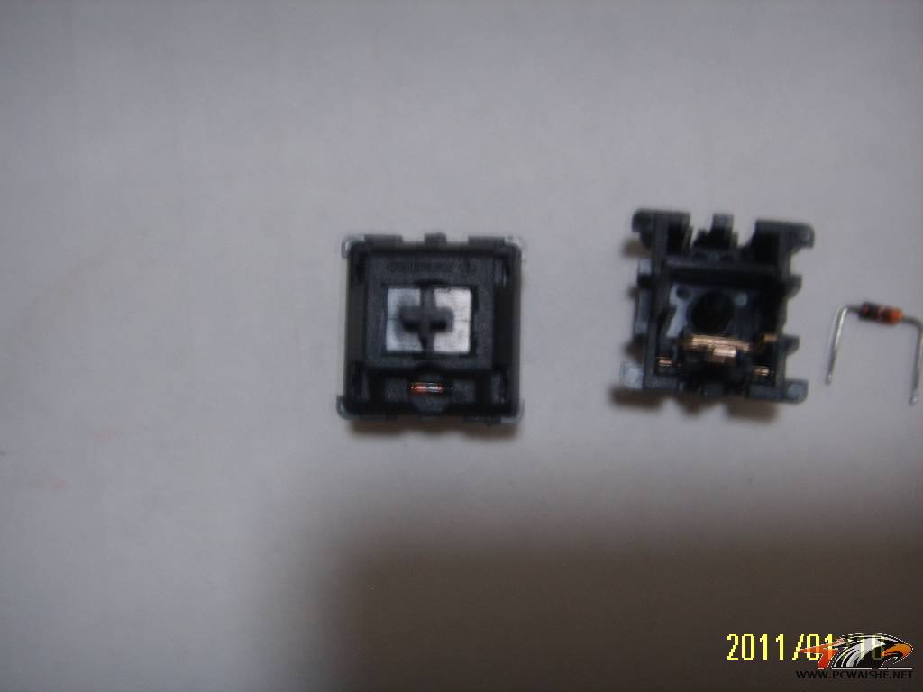 SSM15219.JPG