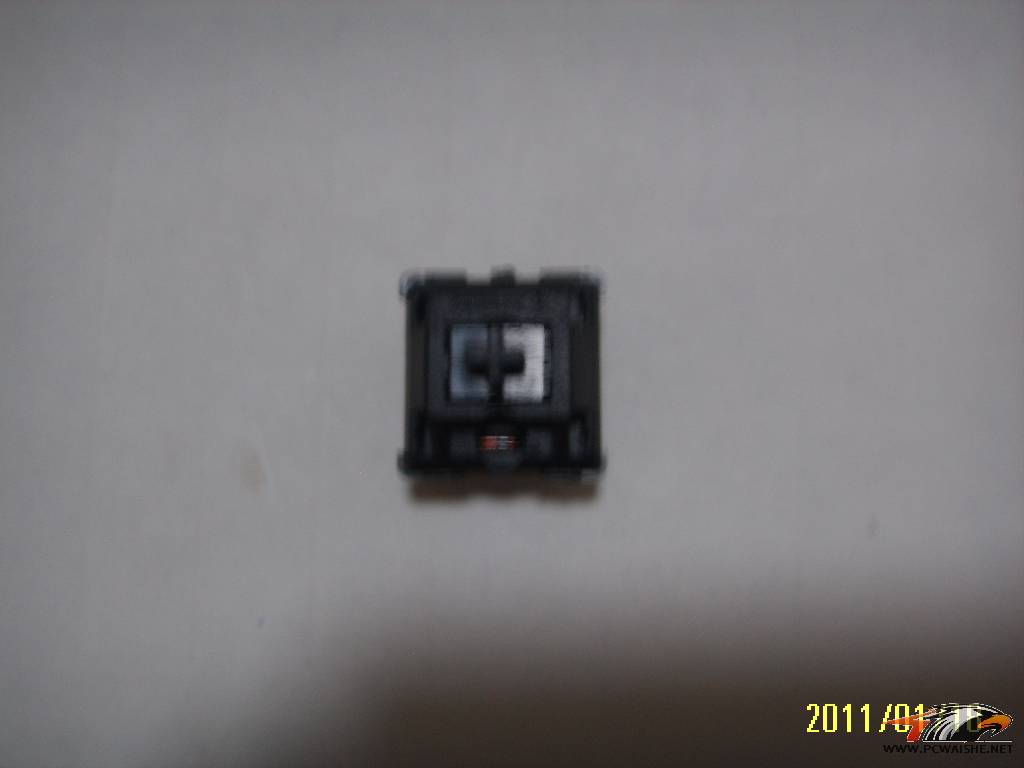 SSM15221.JPG
