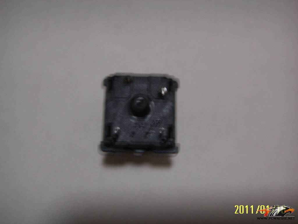 SSM15223.JPG