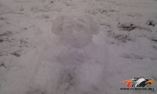 ����������ʨ��������