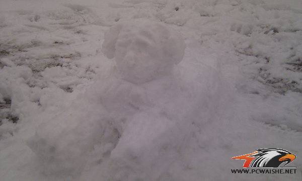 ����������ʨ��������