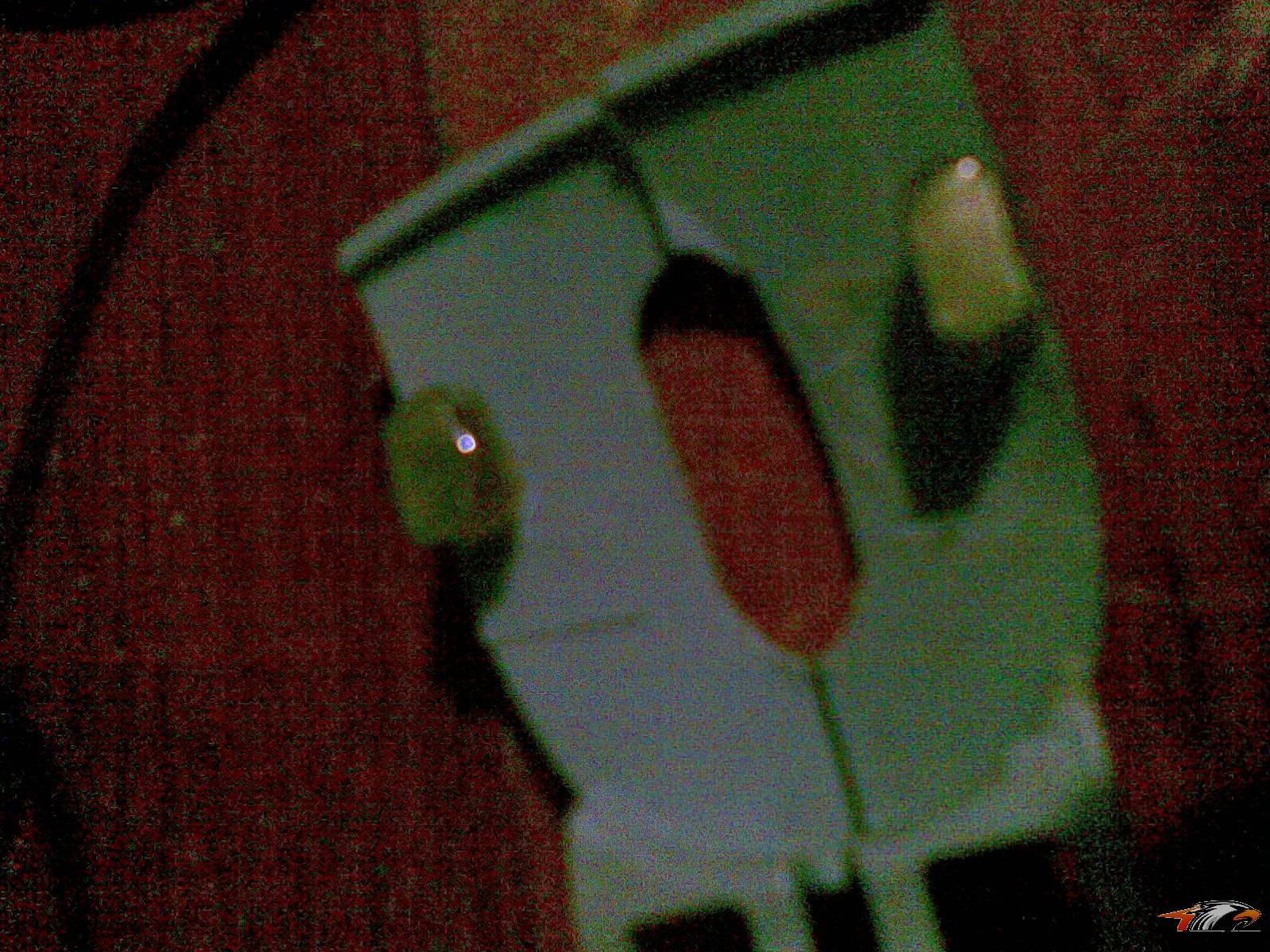 20110120_011.jpg