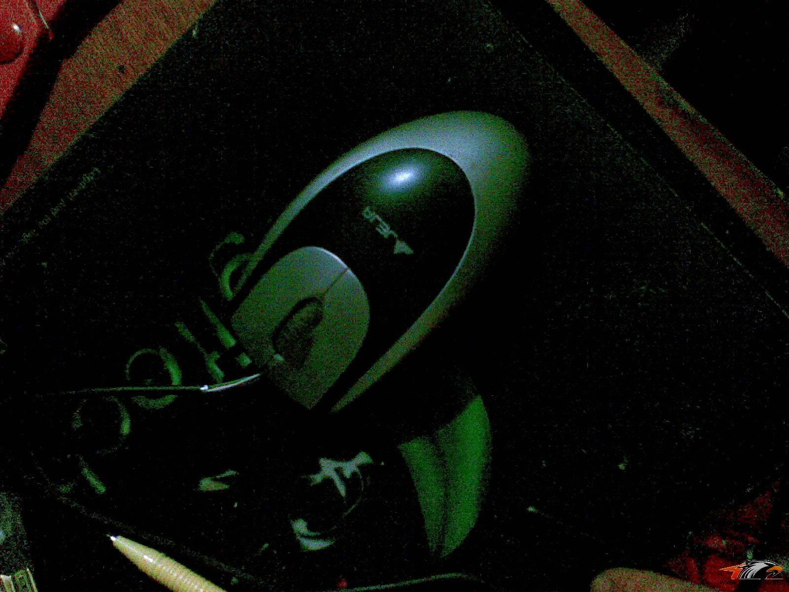 20110120_012.jpg