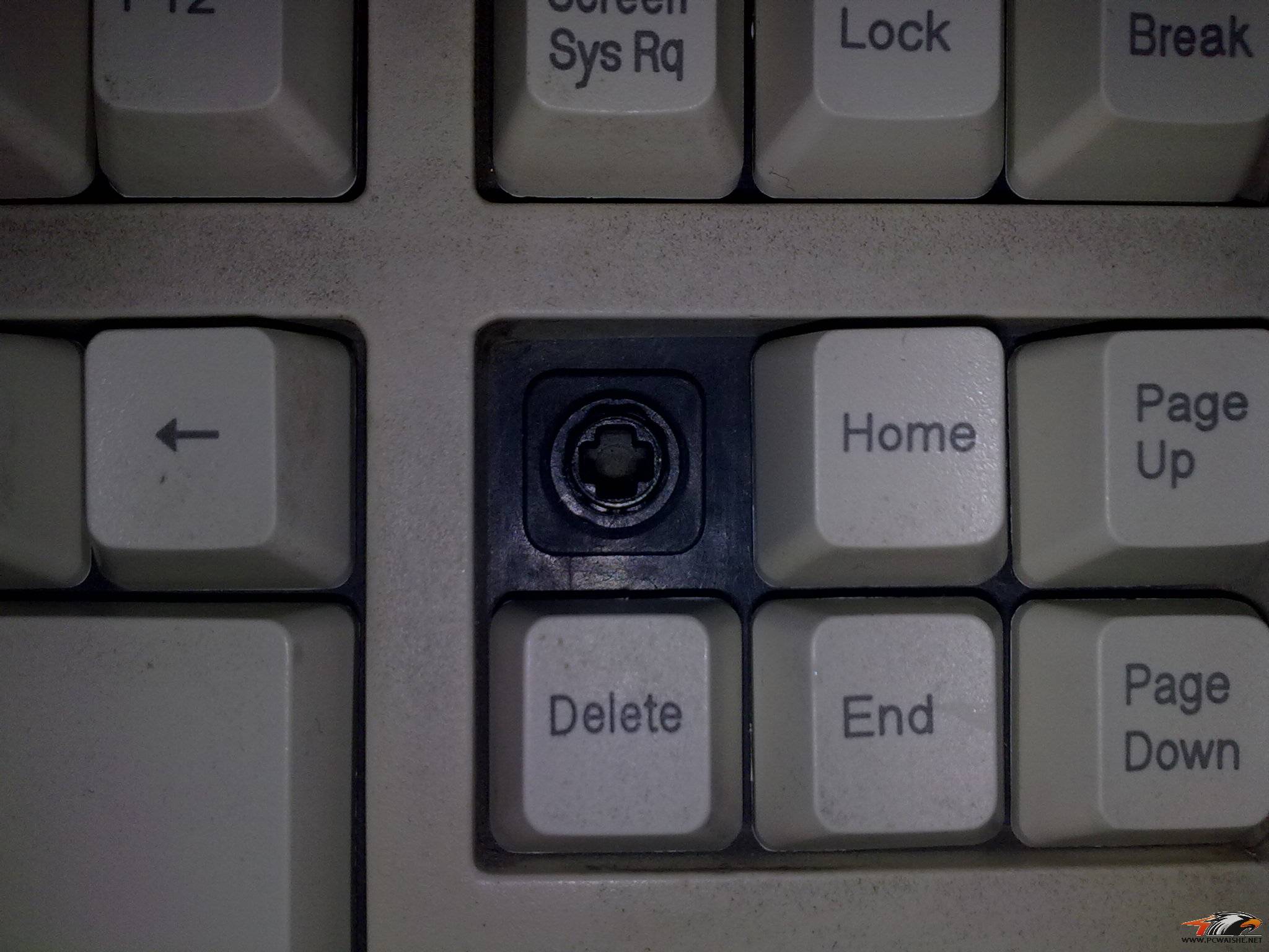 ѯһ����ʲô����̣�����Ҫû��