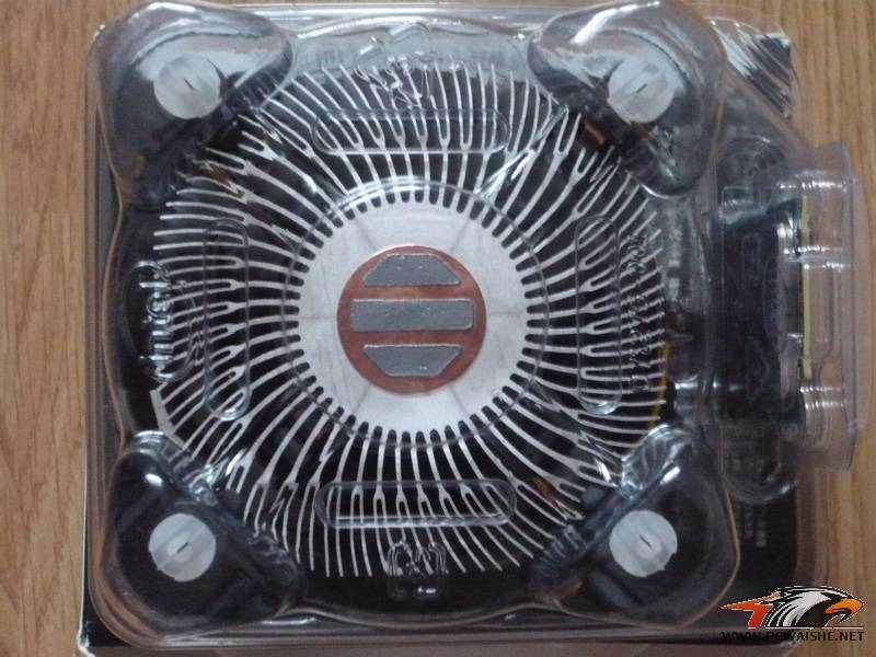 �����ۡ�����������ȫ�¡�Ӣ�ض���װQ8300�ĺ�CPU|��ʿ��DDR2-1066,2GB�ڴ棡���ѵ���