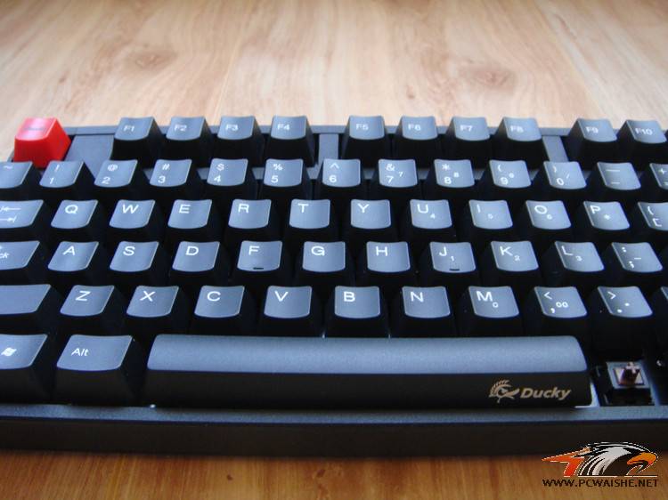 3093128519074572358.jpg