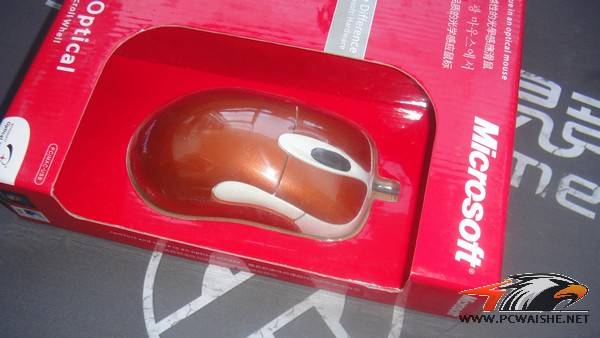 �׾���������һ������KINZU179����KINZU139��