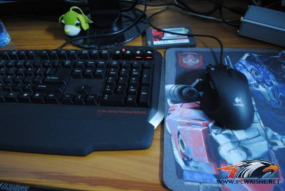 һ���ӵ��¡����������裬�������MM