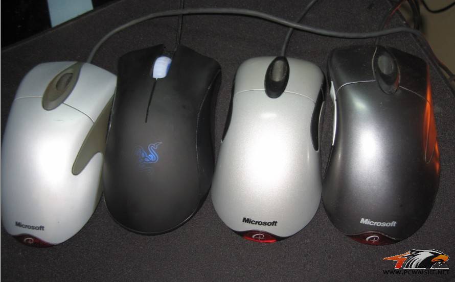 B.jpg