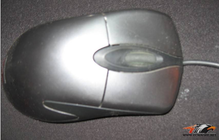 E.jpg