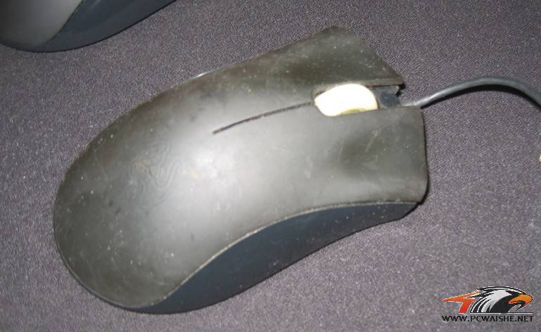 BB.jpg