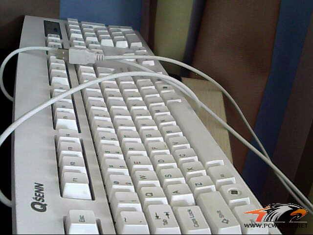 ͼƬ 003.jpg