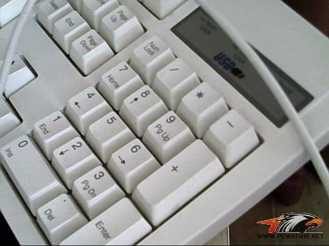 ͼƬ 004.jpg