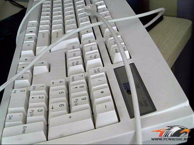 ͼƬ 005.jpg