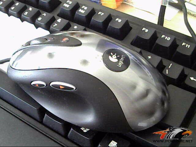 ͼƬ 009.jpg