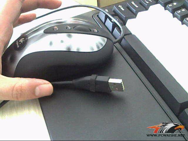 ͼƬ 013.jpg