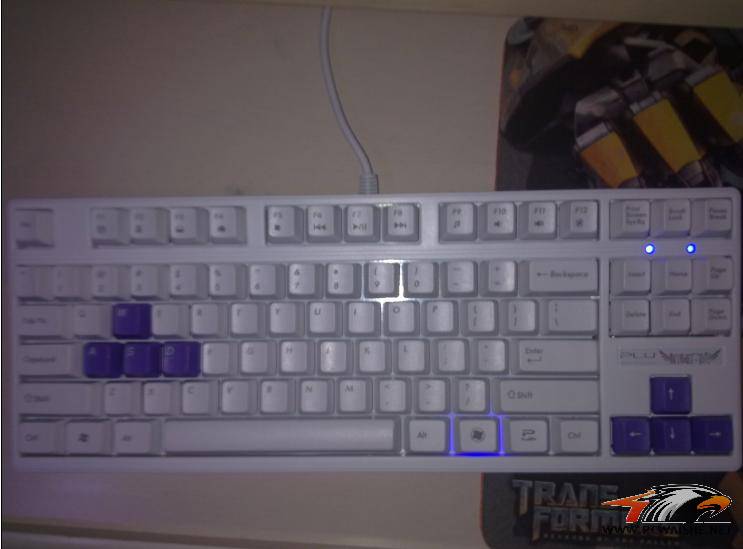 δ3.jpg