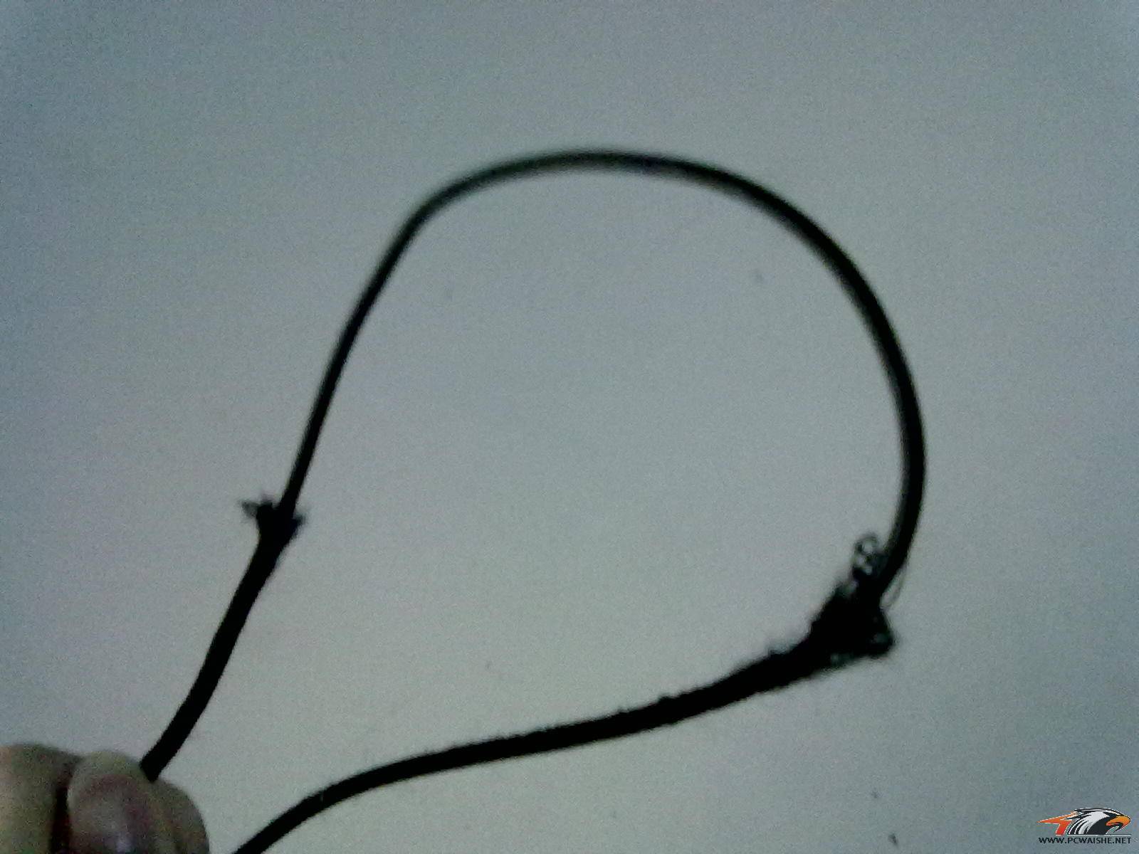 20110121345.jpg