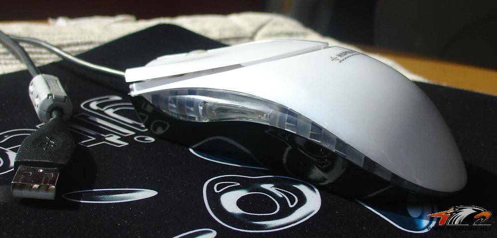 ������ͼ���ϣ�������ƴ�˸����߳�����ɽկ����,������ǿ��