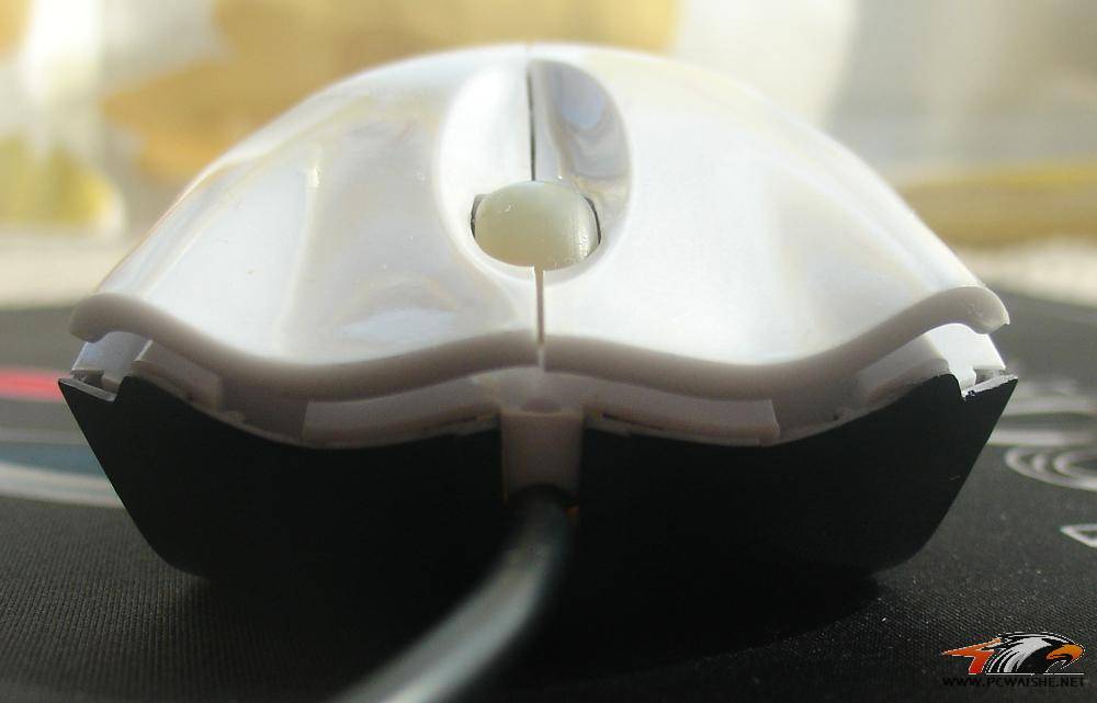������ͼ���ϣ�������ƴ�˸����߳�����ɽկ����,������ǿ��