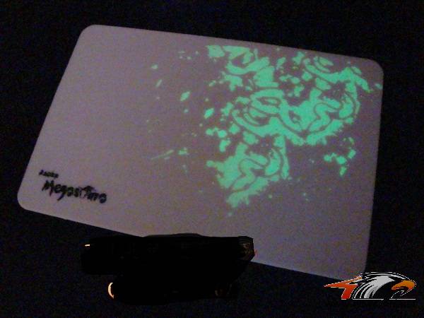 T2noVyXdFaXXXXXXXX_!!12701795.jpg
