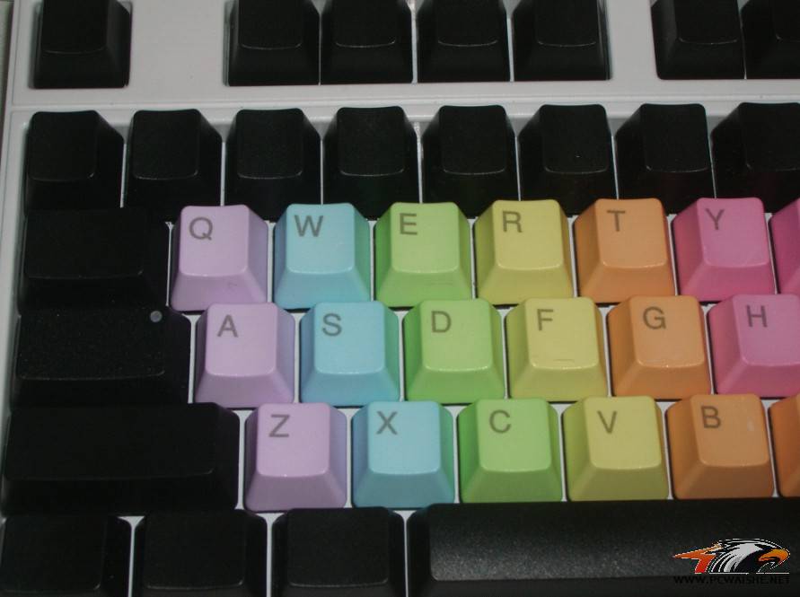 plu87+�ʺ�+���޿�