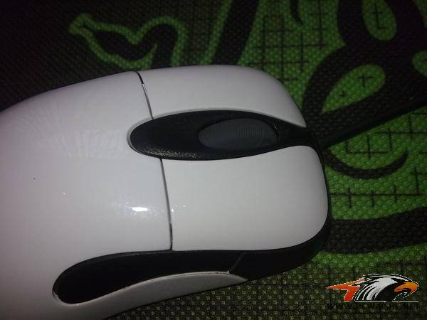 20110128474.jpg