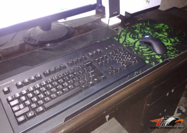 ��װ�׳��ռ�������
