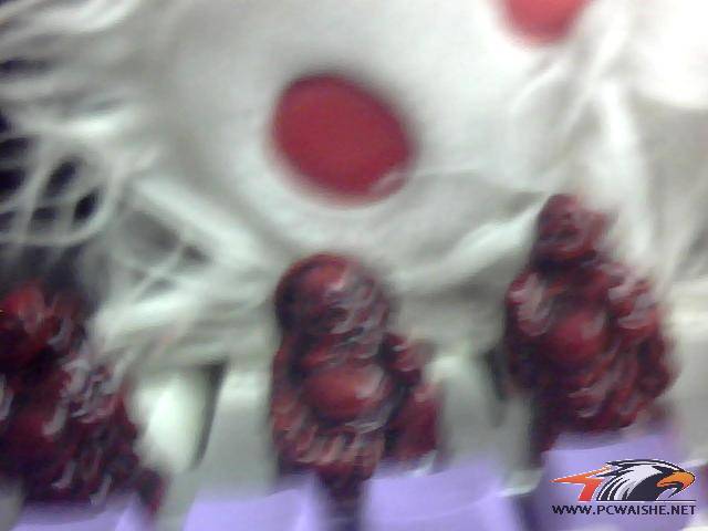 ͼƬ 011.jpg