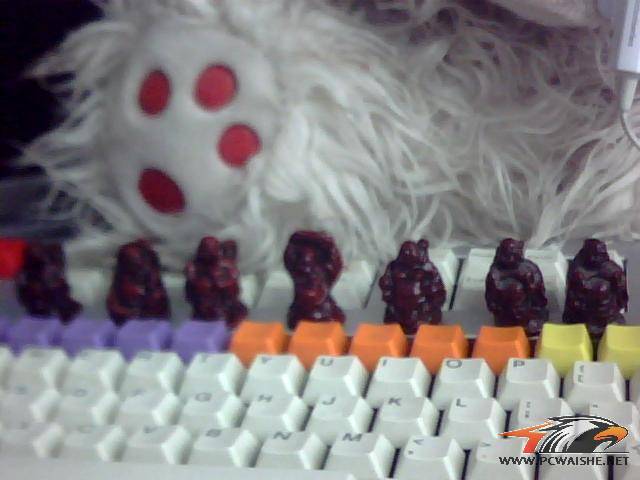 ͼƬ 014.jpg
