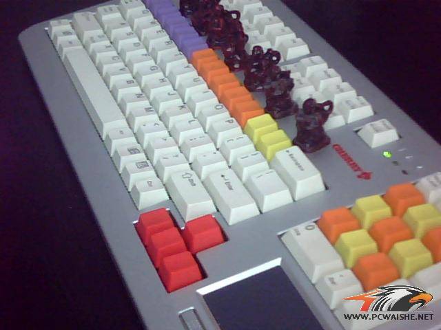 ͼƬ 010.jpg
