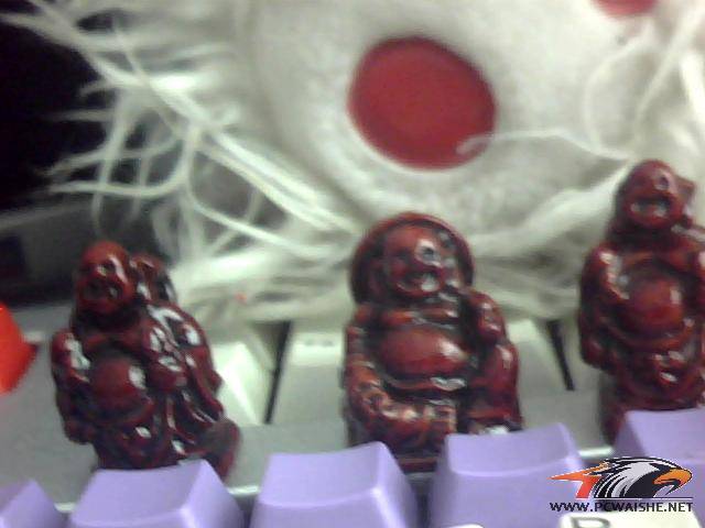 ͼƬ 012.jpg