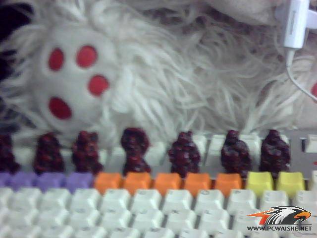 ͼƬ 013.jpg