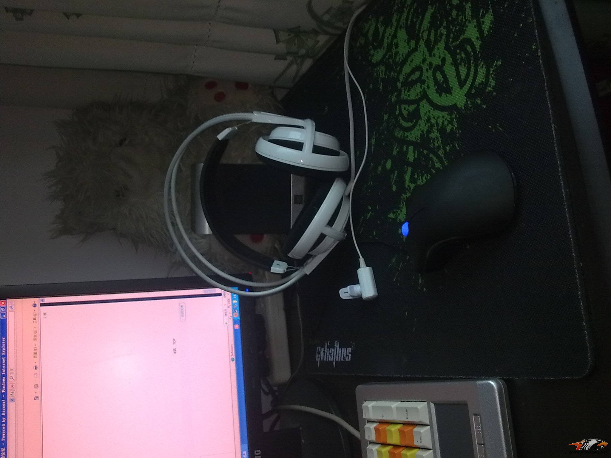 20110131025.jpg