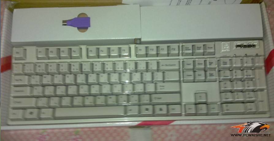 800��ȫ��FILCO104ʥ�ְ״��ָ�