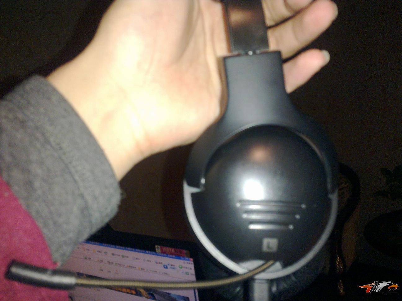 20110201194.jpg