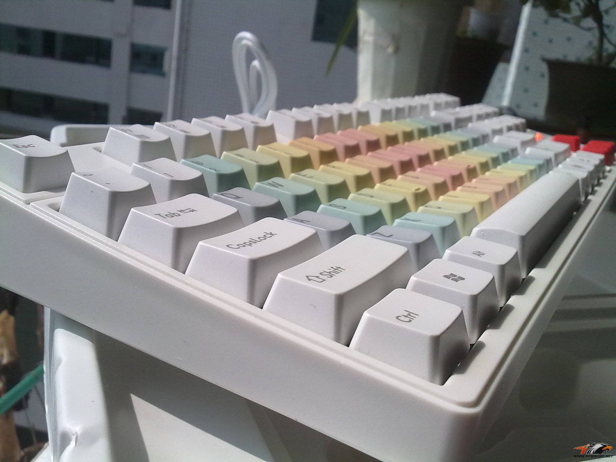 20110129019.jpg