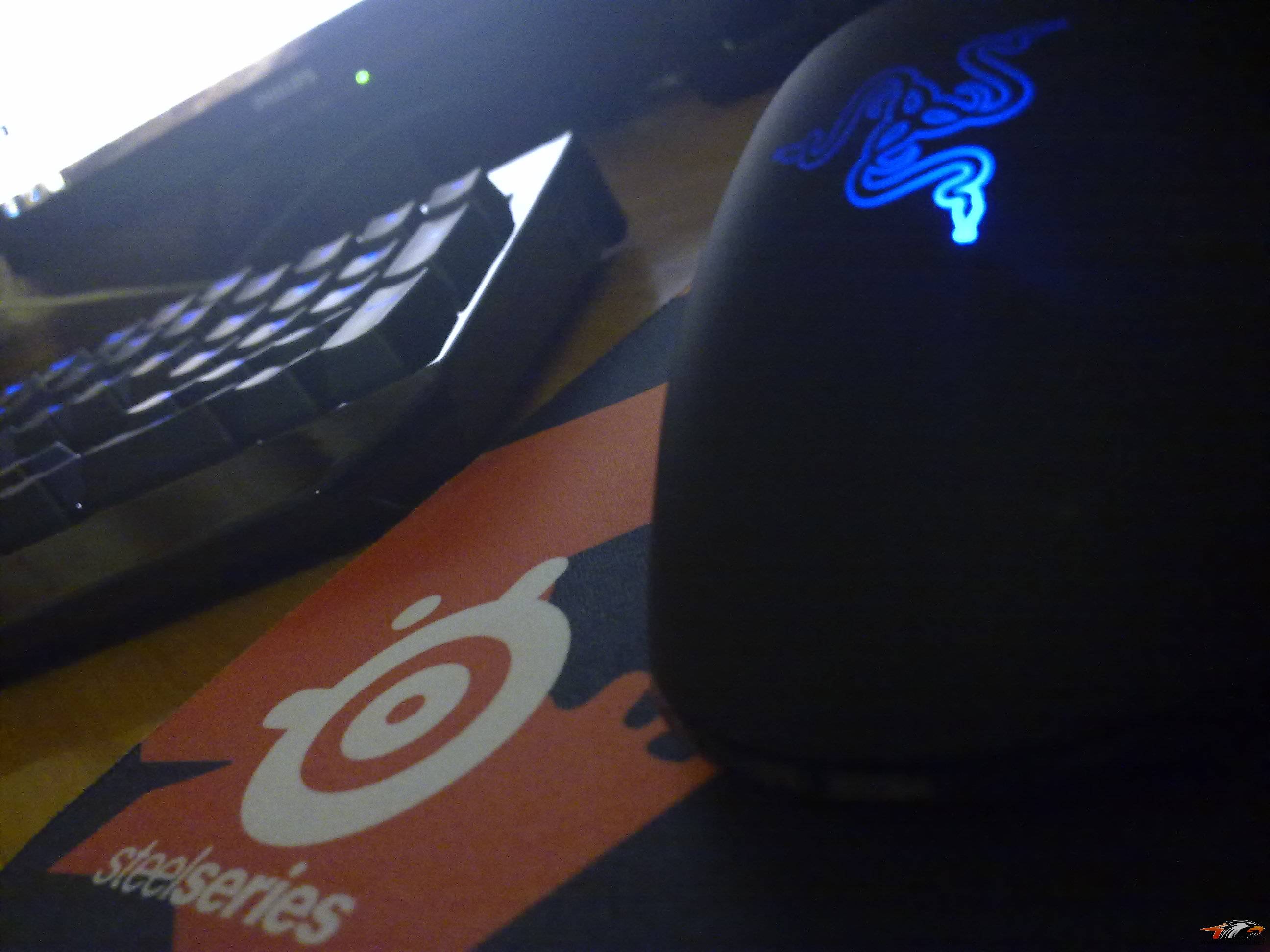 20110131116.jpg