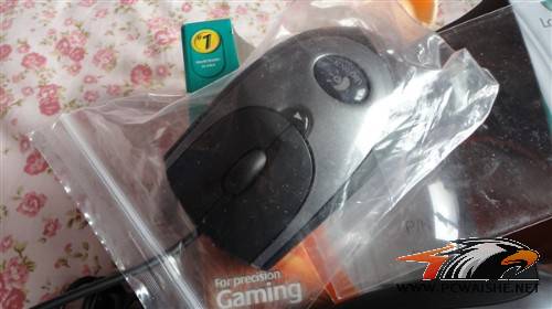 DSC00698_����.jpg