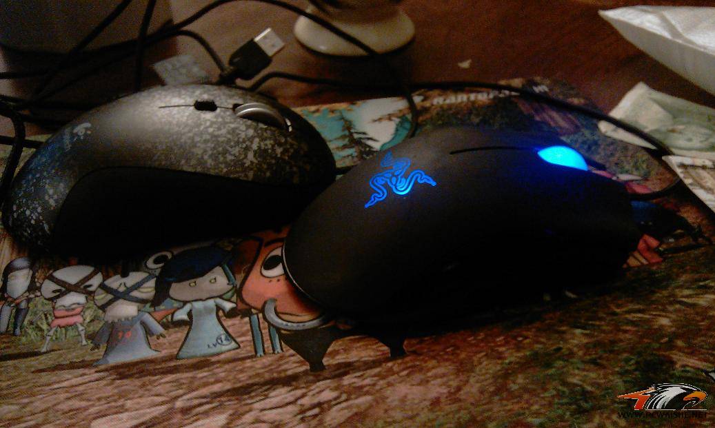 IMAG0207.jpg