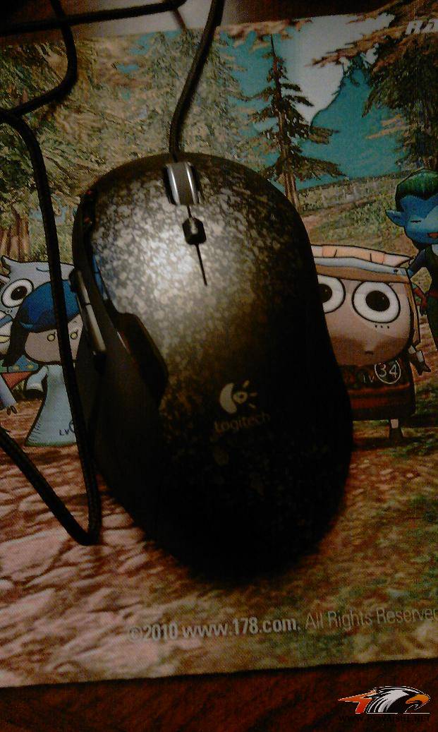 IMAG0204.jpg