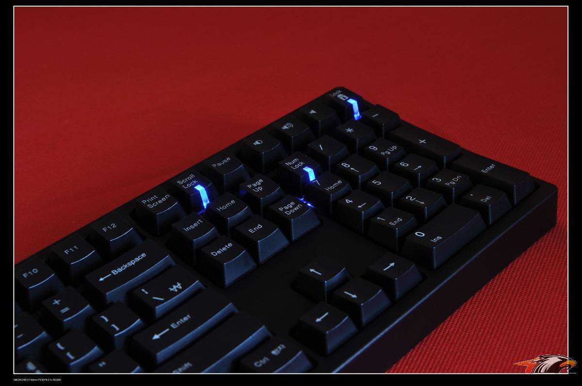 Leopold��Ʒ��˭�˽���鷳˵�¡���