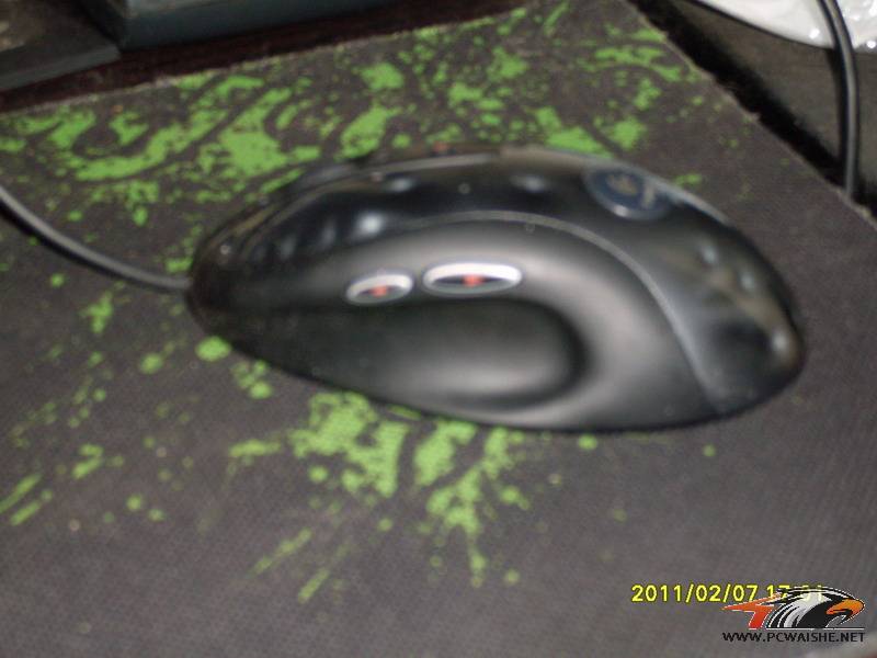 SDC11459.JPG