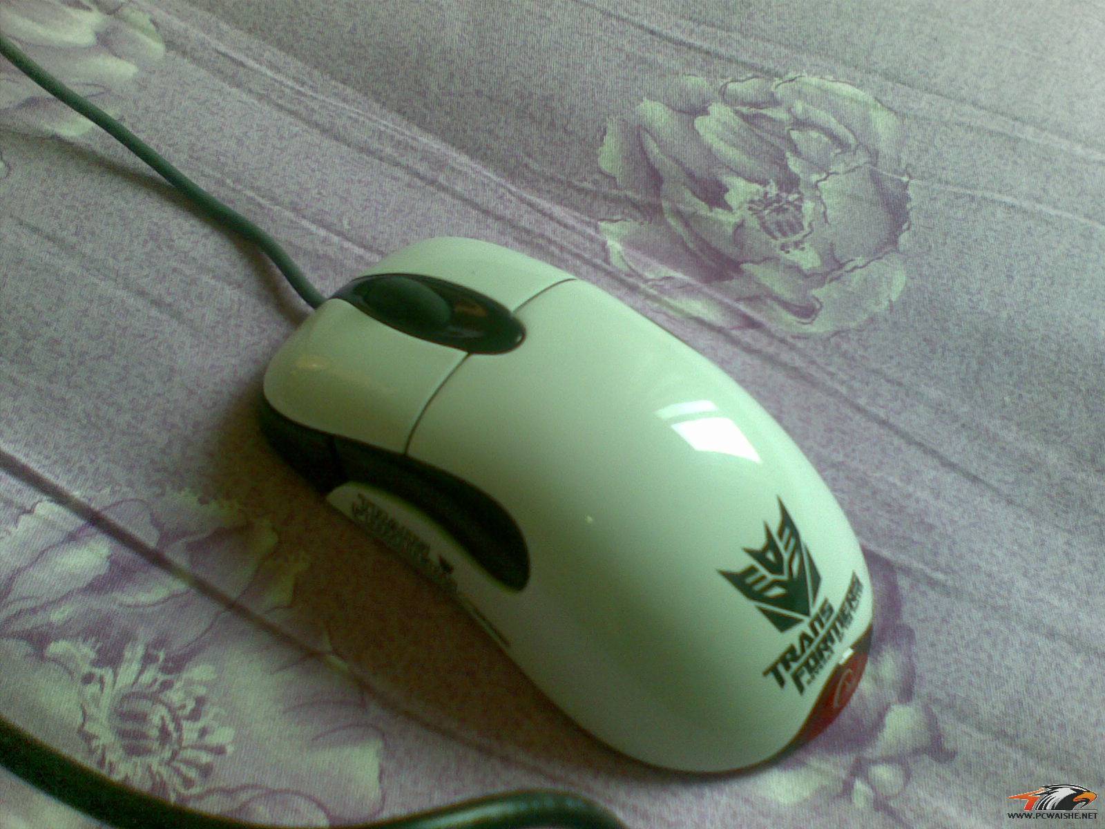 �人��������MODIO1.1 X06 ��ɫ����