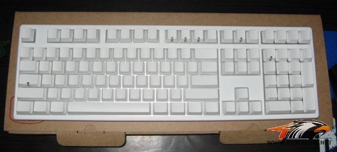 bao3.jpg